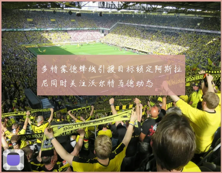 多特蒙德锋线引援目标锁定阿斯拉尼同时关注沃尔特马德动态