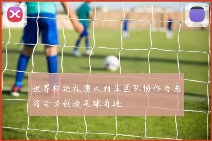 世界杯巡礼澳大利亚团队协作与老将合力创造足球奇迹
