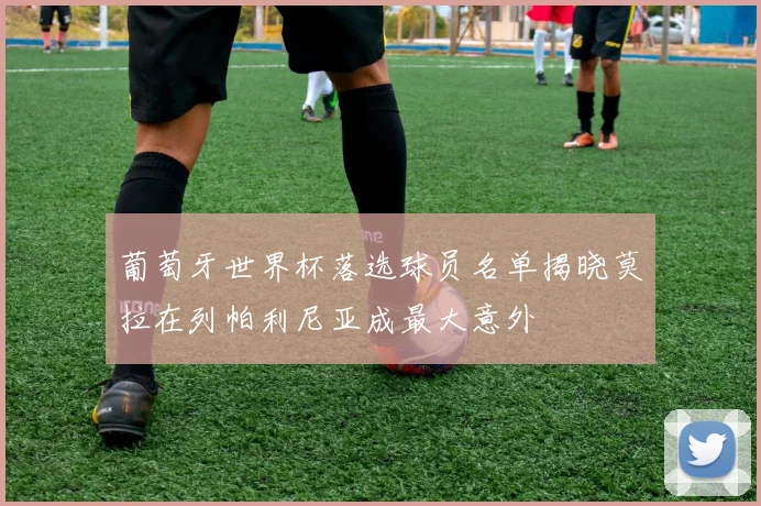 葡萄牙世界杯落选球员名单揭晓莫拉在列帕利尼亚成最大意外